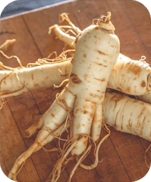 Chinese Ginseng ProtoFlow ingredient